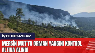 Mersin Mut'ta orman yangını kontrol altına alındı