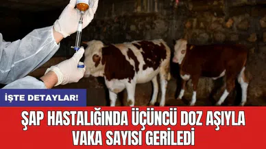 Şap hastalığında üçüncü doz aşıyla vaka sayısı geriledi