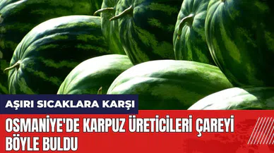 Osmaniye'de karpuz üreticileri aşırı sıcaklara karşı çareyi böyle buldu