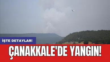 Çanakkale'de yangın!
