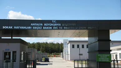 Can dostlar yeni evlerinde