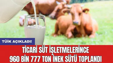Ticari süt işletmelerince 960 bin 777 ton inek sütü toplandı