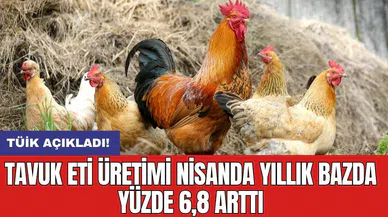 Tavuk eti üretimi nisanda yıllık bazda yüzde 6,8 arttı