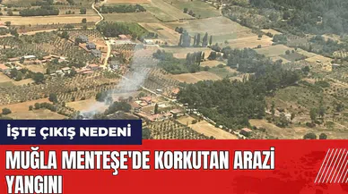 Muğla Menteşe'de korkutan arazi yangını
