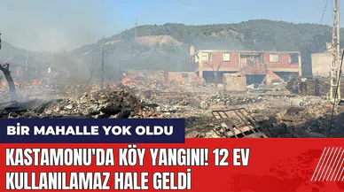 Kastamonu'da köy yangını! 12 ev kullanılamaz hale geldi