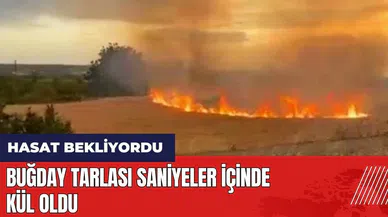Buğday tarlası saniyeler içinde kül oldu