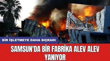Samsun'da bir fabrika alev alev yanıyor