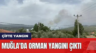 Muğla'da orman yangını çıktı