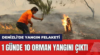 Denizli'de yangın felaketi! 1 günde 10 orman yangını çıktı