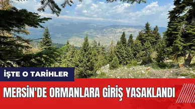 Mersin'de ormanlara giriş yasaklandı