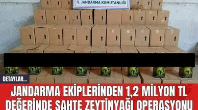 JANDARMA EKİPLERİNDEN 1,2 MİLYON TL DEĞERİNDE SAHTE ZEYTİNYAĞI OPERASYONU