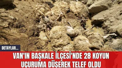 Van'ın Başkale İlçesi'nde 28 Koyun Uçuruma Düşerek Telef Oldu