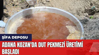 Adana Kozan'da dut pekmezi üretimi başladı
