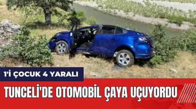 Tunceli'de otomobil çaya uçuyordu: 1'i çocuk 4 yaralı