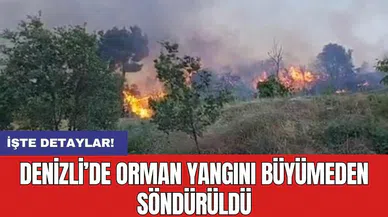 Denizli’de orman yangını büyümeden söndürüldü