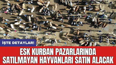 ESK Kurban Pazarlarında Satılmayan Hayvanları Satın Alacak