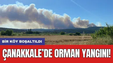 Çanakkale’de orman yangını: Bir köy boşaltıldı