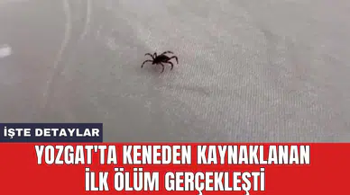 Yozgat'ta keneden kaynaklanan ilk öl*m gerçekleşti