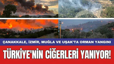 Türkiye'nin ciğerleri yanıyor! Çanakkale, İzmir, Muğla ve Uşak'ta orman yangını