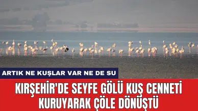 Kırşehir'de Seyfe Gölü Kuş Cenneti kuruyarak çöle dönüştü