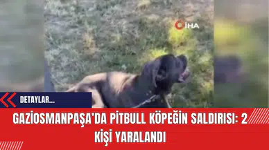 Gaziosmanpaşa’da Pitbull Köpeğin Saldırısı: 2 Kişi Yaralandı