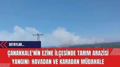 Çanakkale'nin Ezine İlçesinde Tarım Arazisi Yangını: Havadan ve Karadan Müdahale