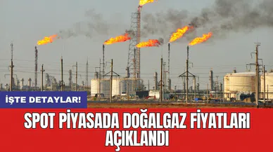Spot piyasada doğalgaz fiyatları açıklandı