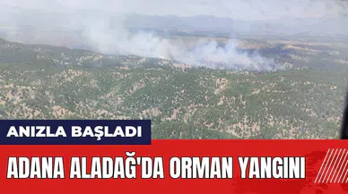 Adana Aladağ'da orman yangını!