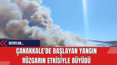 Çanakkale'de Başlayan Yangın Rüzgarın Etkisiyle Büyüdü