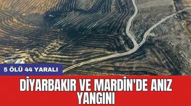 Diyarbakır ve Mardin'de anız yangını: 5 ölü 44 yaralı