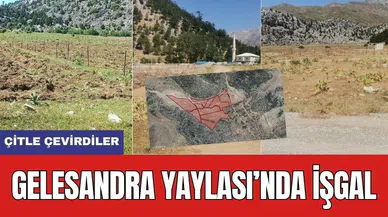 Gelesandra Yaylası'nda Çitli İşgal! Bölgede Tepkiler Büyüyor