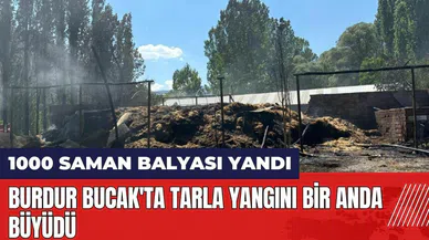 Burdur Bucak'ta tarla yangını bin saman balyasını kül etti