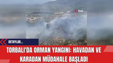 Torbalı'da Orman Yangını: Havadan ve Karadan Müdahale Başladı