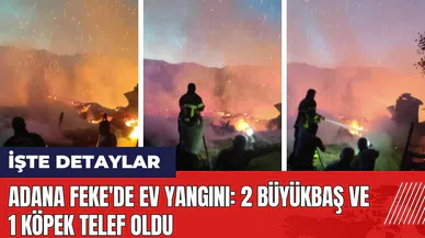 Adana Feke'de ev yangını: 2 büyükbaş ve 1 köpek telef oldu