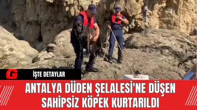 Antalya Düden Şelalesi'ne Düşen Sahipsiz Köpek Kurtarıldı