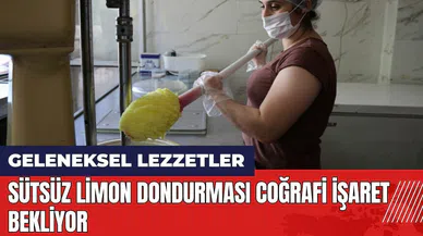 Adana Kozan'da sütsüz limon dondurması coğrafi işaret bekliyor