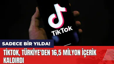 TikTok Türkiye'den 16,5 milyon içerik kaldırdı