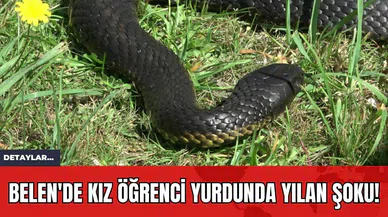 Belen'de Kız Öğrenci Yurdunda Yılan Şoku!