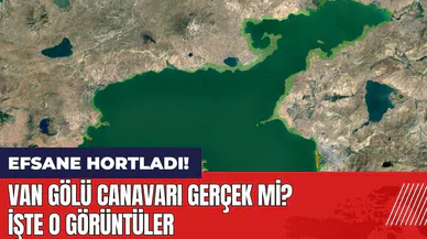 Van Gölü Canavarı gerçek mi? Efsane hortladı! İşte o görüntüler