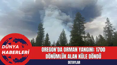 Oregon’da Orman Yangını: 1700 Dönümlük Alan Küle Döndü