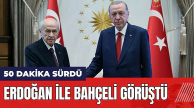 Cumhurbaşkanı Erdoğan MHP Genel Başkanı Bahçeli ile görüştü