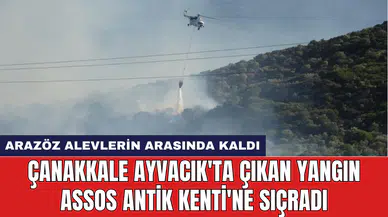 Çanakkale Ayvacık'ta çıkan yangın Assos Antik Kenti'ne sıçradı