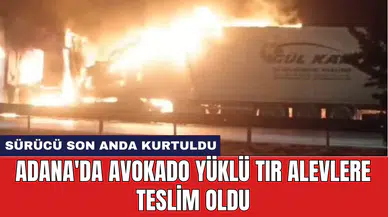 Adana'da avokado yüklü tır alevlere teslim oldu