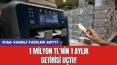 1 milyon TL'nin 1 aylık getirisi uçtu!