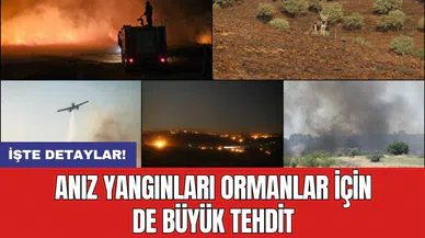 Anız yangınları ormanlar için de büyük tehdit