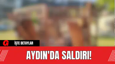 Aydın'da Saldırı!