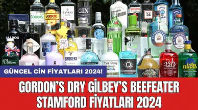 Güncel Cin Fiyatları 2024! Gordon’s Dry Gilbey’s Beefeater Stamford Fiyatları 2024