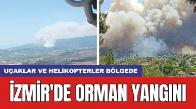 İzmir'de orman yangını: Uçaklar ve helikopterler bölgede