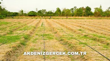 Nevşehir Acıgöl'de mahkemeden satılık 1.720,00 m² arsa