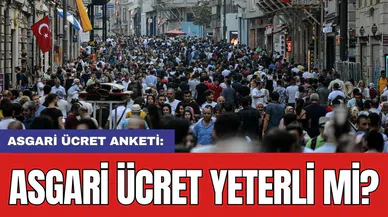 Asgari ücret anketi: Asgari ücret yeterli mi?